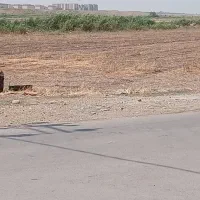 زمیندرآغدام۲هکتاربغلسردخانهمولای