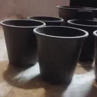 زیریخچالی.گلدان .لامپ نمای ساختمان|لامپ و چراغ|زابل, |دیوار