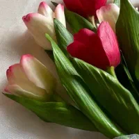 گلهای دست ساز منعطف چینی|گل مصنوعی|تهران, کوهک|دیوار