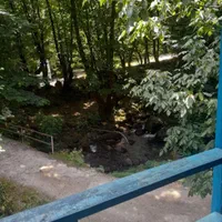 ویلا دوخوابه کنار رودخانه جنب ورودی دژتاریخی قلعه|اجارهٔ کوتاهمدت آپارتمان و سوئیت|فومن, |دیوار