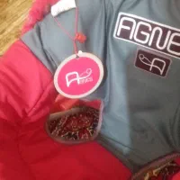 کالسکه خارجی|کالسکه و لوازم جانبی|رامهرمز, |دیوار