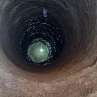 باغبانی و چاه کنی|خدمات باغبانی و درختکاری|برخوار, |دیوار