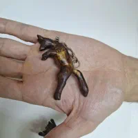 فروش لوازم تزئینی چوبی|صنایع دستی و سایر لوازم تزئینی|هشتگرد, شهرک صنعتی هشتگرد|دیوار