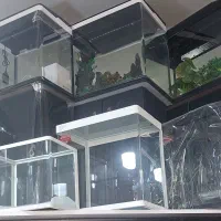 فروش انواع اکواریوم پیش ساخنه و دست ساز