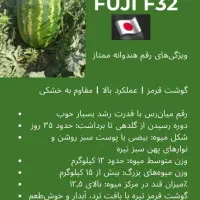 به دنبال سرمایه گذار برای کشت هندوانه