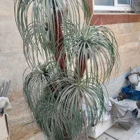 گل منصوعی با گلدان