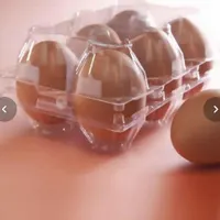 جاتخم مرغی شش عددی یکبار مصرف