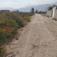 زمین با کاربری گلخانه ، اسطبل ، سردخانه ، باغ شهری|فروش دفتر صنعتی، کشاورزی، تجاری|شیراز, ظفرآباد|دیوار