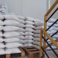 برنج طارم هاشمی