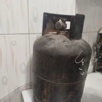 پیک نیک دو قلو