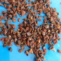 کشمش گوشتی|عمده‌فروشی|زنجان, |دیوار