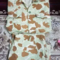 لوازم منزل|حراج|شیراز, دست خضر|دیوار