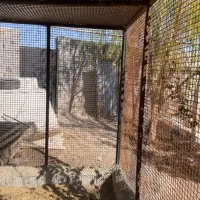 قفس بزرگ|لوازم جانبی حیوانات|ارومیه, |دیوار