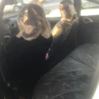 رانا پلاس مدل ۱۴۰۱|خودرو سواری و وانت|خرمآباد, |دیوار