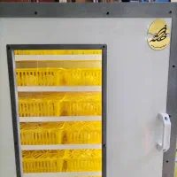 پرورش رایگان بوقلمون|استخدام صنعتی، فنی، مهندسی|اهواز, زندوکیلی|دیوار