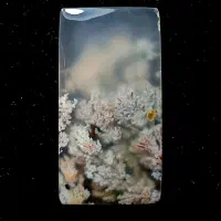 عقیق شجر هفت رنگ آکواریومی|جواهرات|بندرعباس, |دیوار