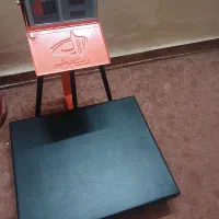 باسکول ۳۰۰ کیلویی پیام توزین