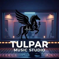 استدیو موسیقی تولپار ضبط/ میکس/ مسترینگ/ آموزش و.