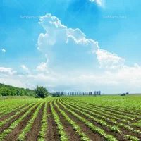 چاه عمیق برقی آب بارانی با استخر