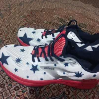 کفش بروکس پرچمی سایز۴۲