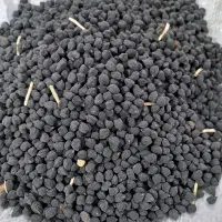خریدار نخود سیاه وزرد لپه ی بالاترین قیمت روز