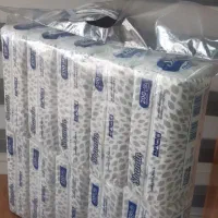 فروش دستمال کاغذی اقتصادی با کیفیت عالی|مواد شوینده و دستمال کاغذی|مشهد, کشاورز|دیوار