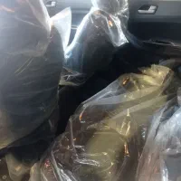 کی‌ام‌سی ایگل،مدل ۱۴۰۴/نقدواقساط/نمایندگی خسروانی|خودرو سواری و وانت|تهران, شهرک استقلال|دیوار