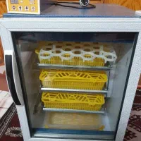 دستگاه جوجه کشی مرغ خروس لاری غاز اردک