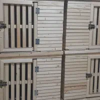 قفس کبوتر|لوازم جانبی حیوانات|تبریز, |دیوار