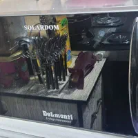 سولاردم دلمونتی