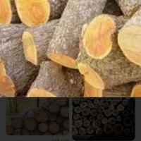 هرس برش سربرداری وقطع درختان باغی ومنزل