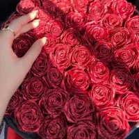 رز ربانی جاودان|گل مصنوعی|بجنورد, |دیوار