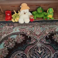 عروسک‌های پولیشی مناسب سیسمونی