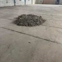 سوله های حتی شیروانی .کود بود کبوت ی|گل و گیاه طبیعی|تاکستان, |دیوار