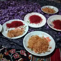 ریشه زعفران|خوردنی و آشامیدنی|قم, انسجام|دیوار