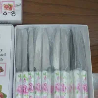 دو جین کارد میوه خوری نو|ظروف سرو و پذیرایی|رشت, خمیران زاهدان|دیوار