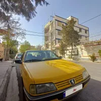 پژو 405 GLX - دوگانه سوز CNG، مدل ۱۳۹۵