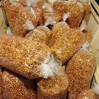 سنجد سنجوبان مهد سنجد(شیرین ا) ایران