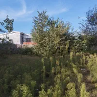 ۳۵۰مترباغی سی متری مسکونی لشت نشا