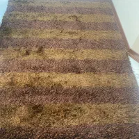 فرش ماکارونی در حد نو