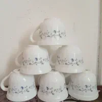فنجان ارکوپال