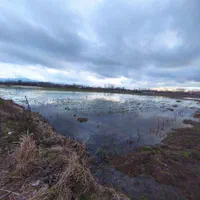 زمین یک هکتارشالیزارسنتی براصلی خیابان متری۳۵۰هزار|فروش دفتر صنعتی، کشاورزی، تجاری|لاهیجان, گلستان|دیوار