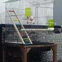 فروش فوری|لوازم جانبی حیوانات|نسیم‌شهر, |دیوار