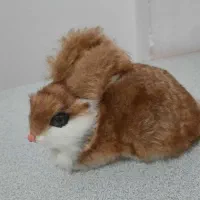 عروسک خرس و خرگوش|اسباب‌بازی بچه|سقز, |دیوار