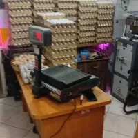 پخش تخم مرغ باران