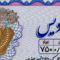 سکه پارسیان ۳۰۰سوت زردیس