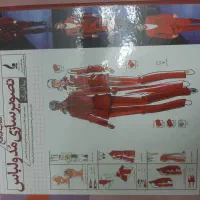 ‌کتاب تصویرسازی مد و لباس
