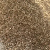 علوفه حدود یک تن