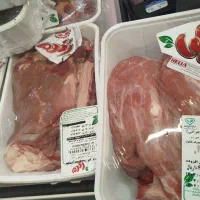 توزیع گوشت گرم گوسفندی  گوساله وچرخ کرده|خوردنی و آشامیدنی|قرچک, مهدیه|دیوار