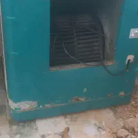 کولرابی سالم